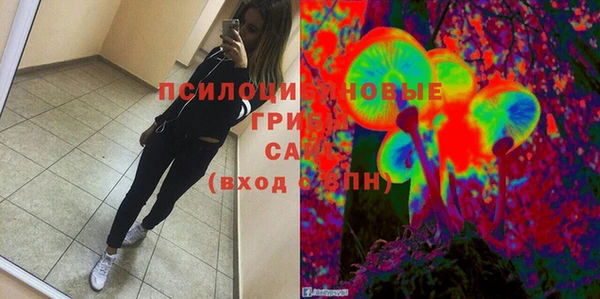 мдпв Абинск
