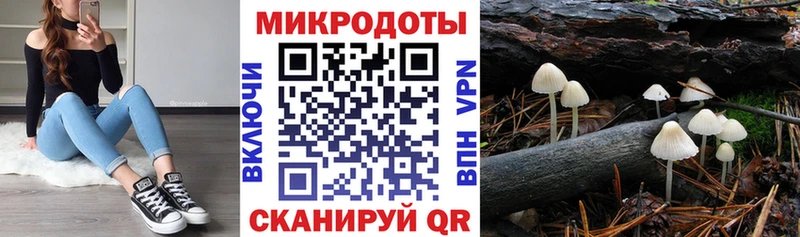 что такое наркотик  Волоколамск  ссылка на мегу рабочий сайт  Псилоцибиновые грибы Cubensis 